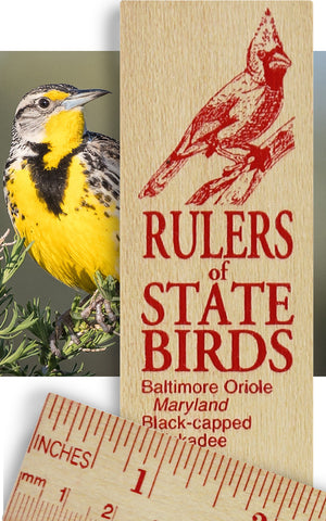 State Birds Ruler